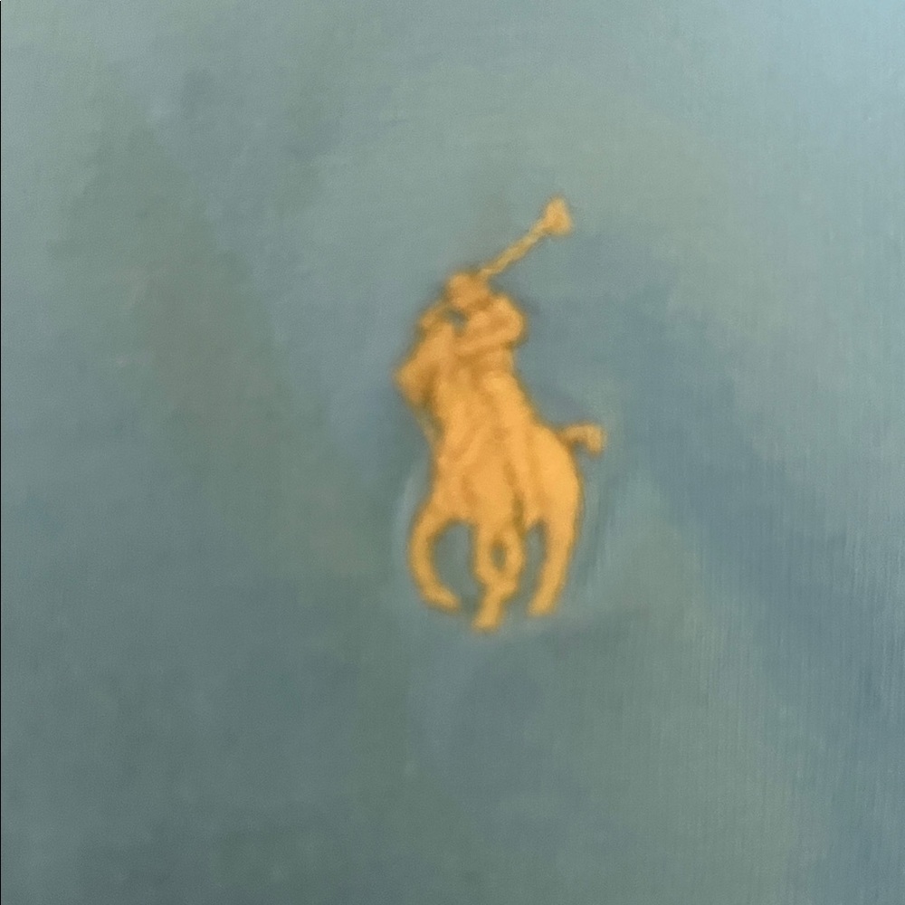 Ralph Lauren Multicolor Polo T-Shirt Collection - Picture 4 of 6